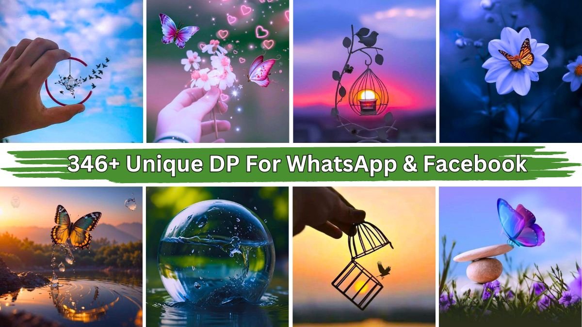 346+ Unique DP For WhatsApp & Facebook (New Pic 2024)