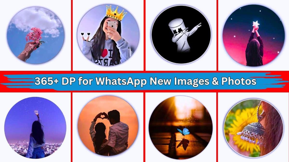 365+ DP for WhatsApp New Images & Photos (HD 2024)