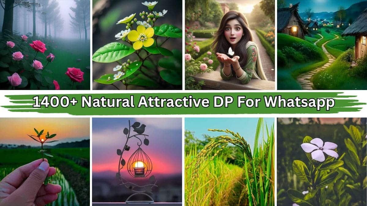 Natural Attractive DP For Whatsapp