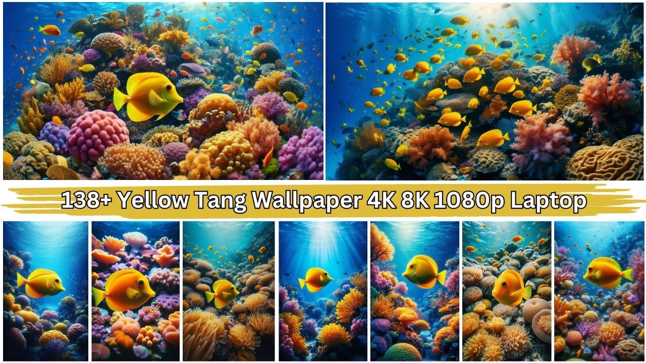 138+ Yellow Tang Wallpaper 4K 8K 1080p Laptop, Phone Free