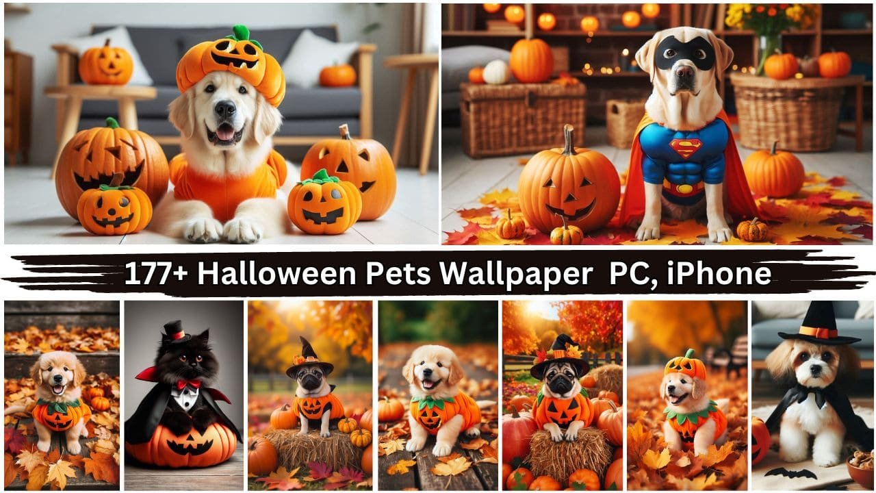 177+ Halloween Pets Wallpaper 4k image Photos PC, iPhone