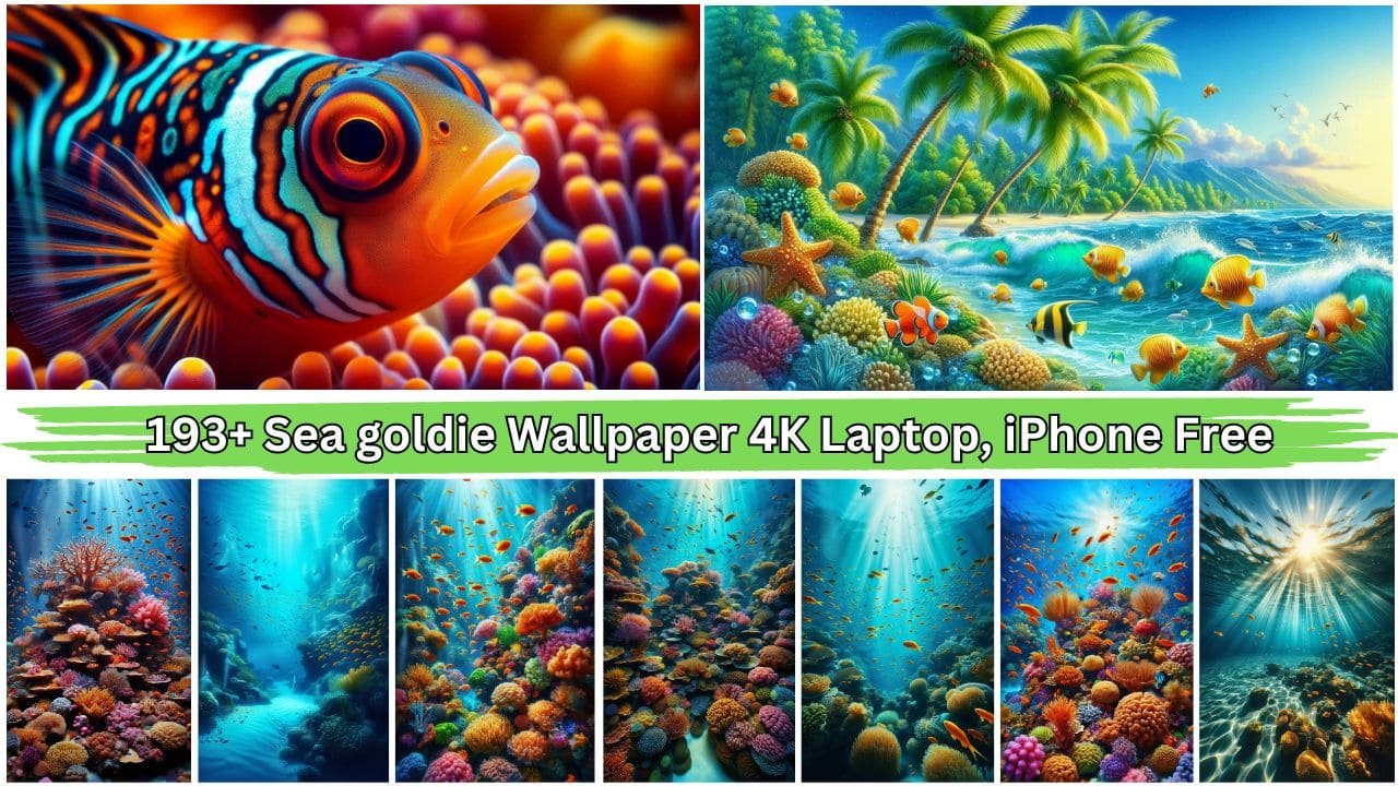 193+ Sea goldie Wallpaper 4K Laptop, iPhone Free Dwnload