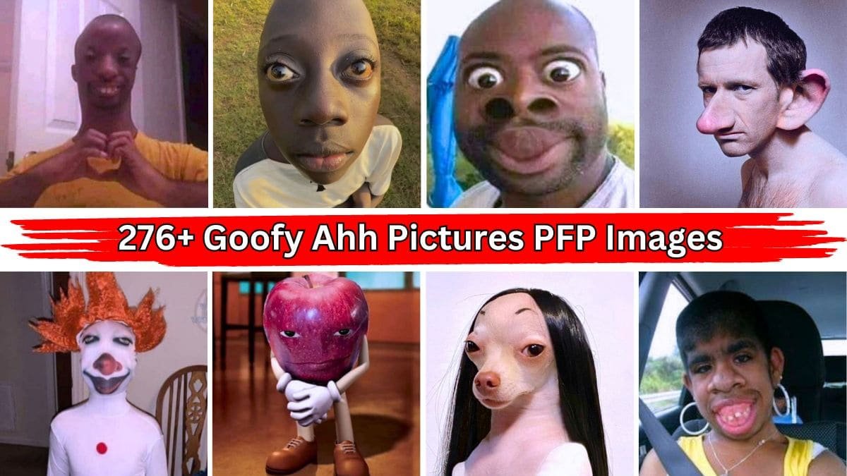 276+ Goofy Ahh Pictures PFP Images & Wallpaper 4K New Free Download 2024