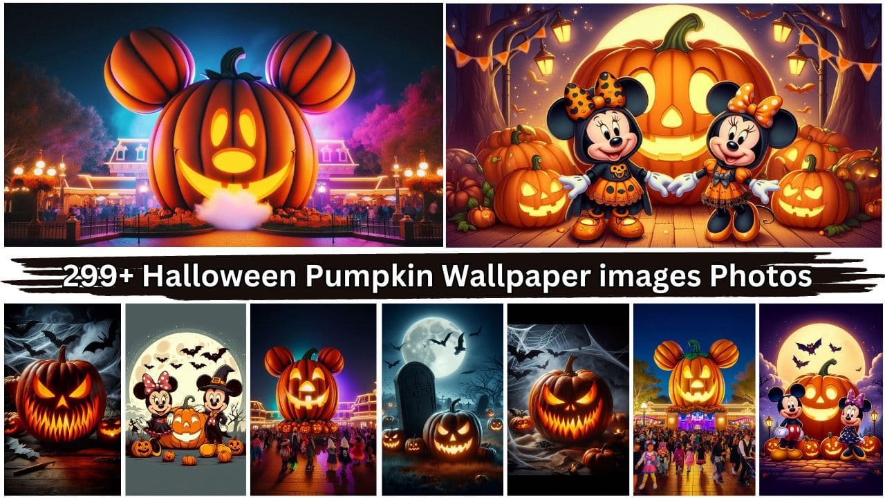 Halloween Pumpkin Wallpaper