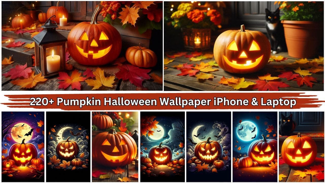 Pumpkin Halloween Wallpaper iPhone & Laptop Free